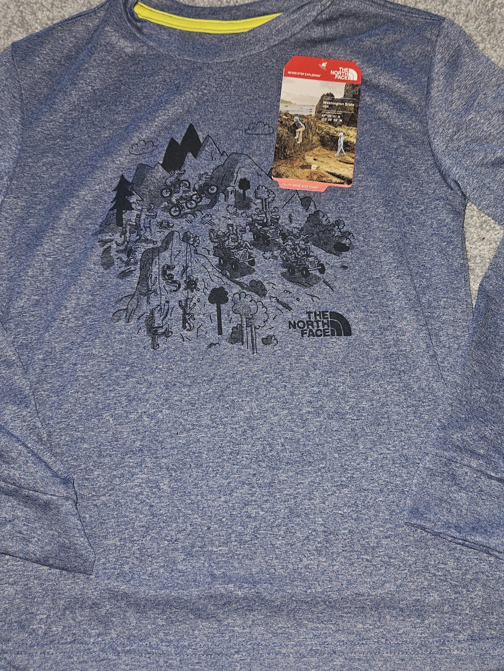The North Face Kids Blue Heather Graphic Long Sleeve